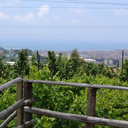 B&B Green Valley Salerno Exterior foto